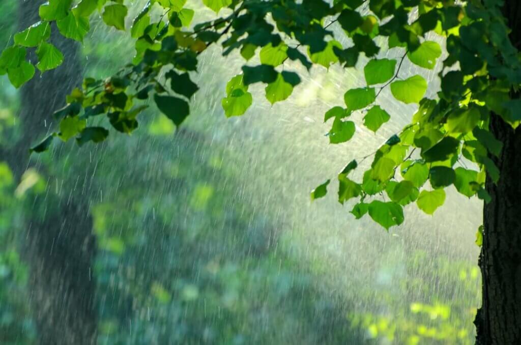 雨とパワーストーンの関連性
