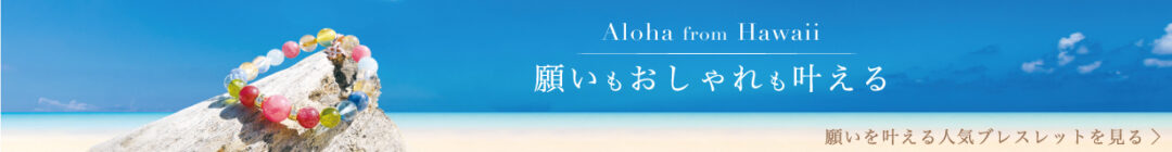 今週売れているBEST10