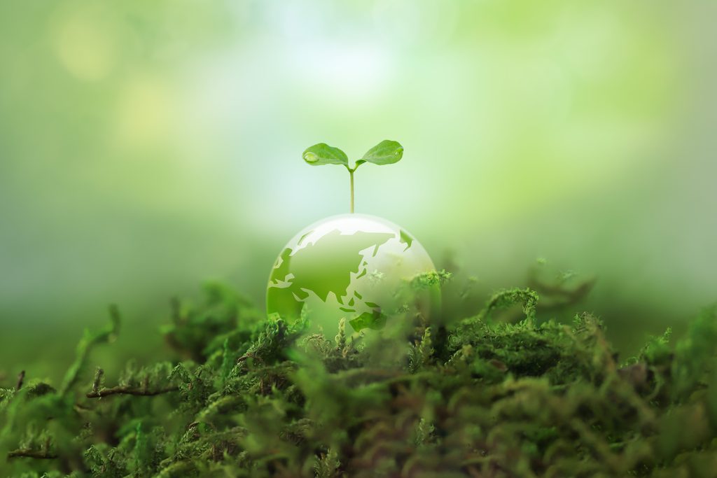 地球を模した球体から小さな芽が伸び、苔の上で成長する緑豊かな自然と環境保護のイメージ