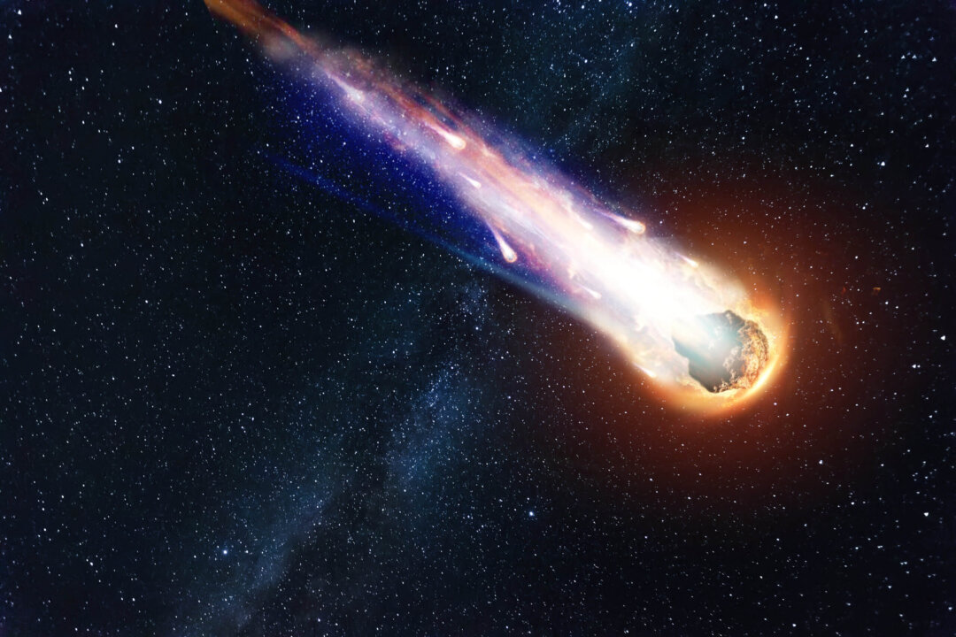 『鑑別書付き』　ギベオン隕石 アフリカ　隕石　27g 6.5㍉ 宇宙パワー