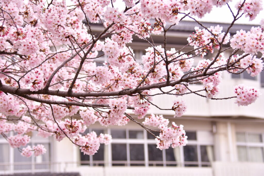 入学祝におすすめのパワーストーン