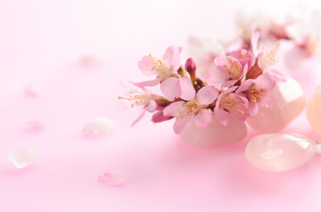 桜水晶　意味　効果　優美なピンク色が織りなす特徴：相性の良いパワーストーンについてご紹介します！
