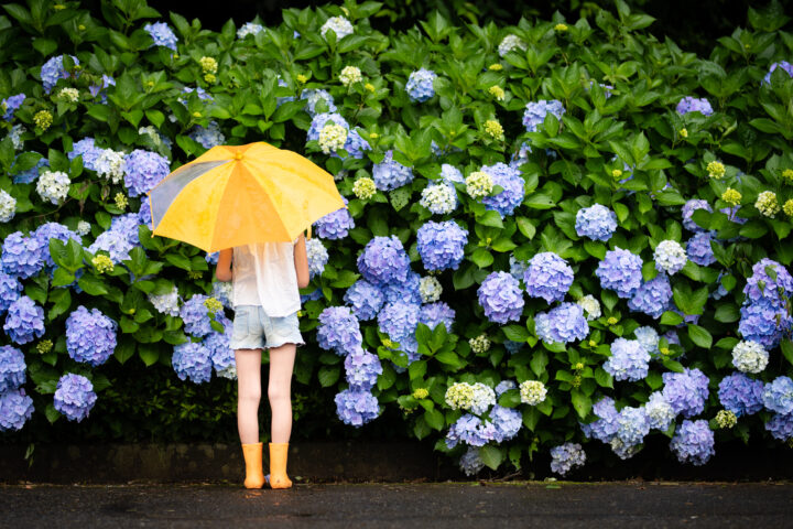 ネガティブになりがちな梅雨にポジティブなパワーストーン 天然石を！明るい気持ちへと導きます！