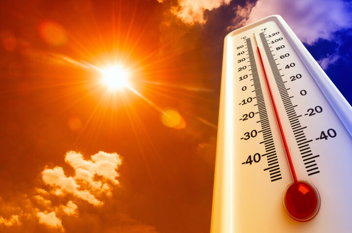 夏の暑さによるストレスとは?