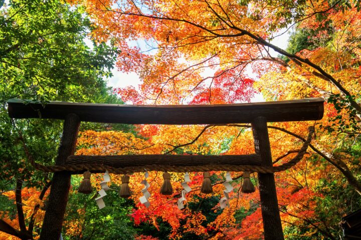 代表的な神社別・お守りブレスレットの特徴