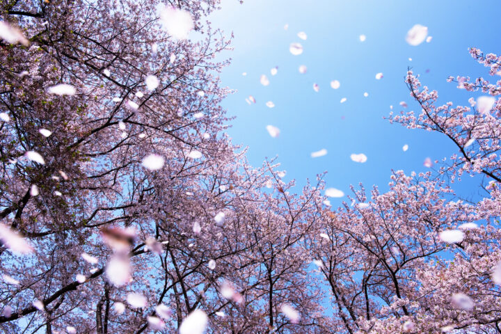 風