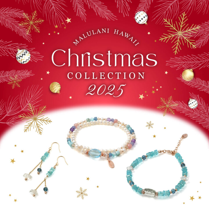 2025ǯ�ޥ��˥��ꥹ�ޥ����쥯�����